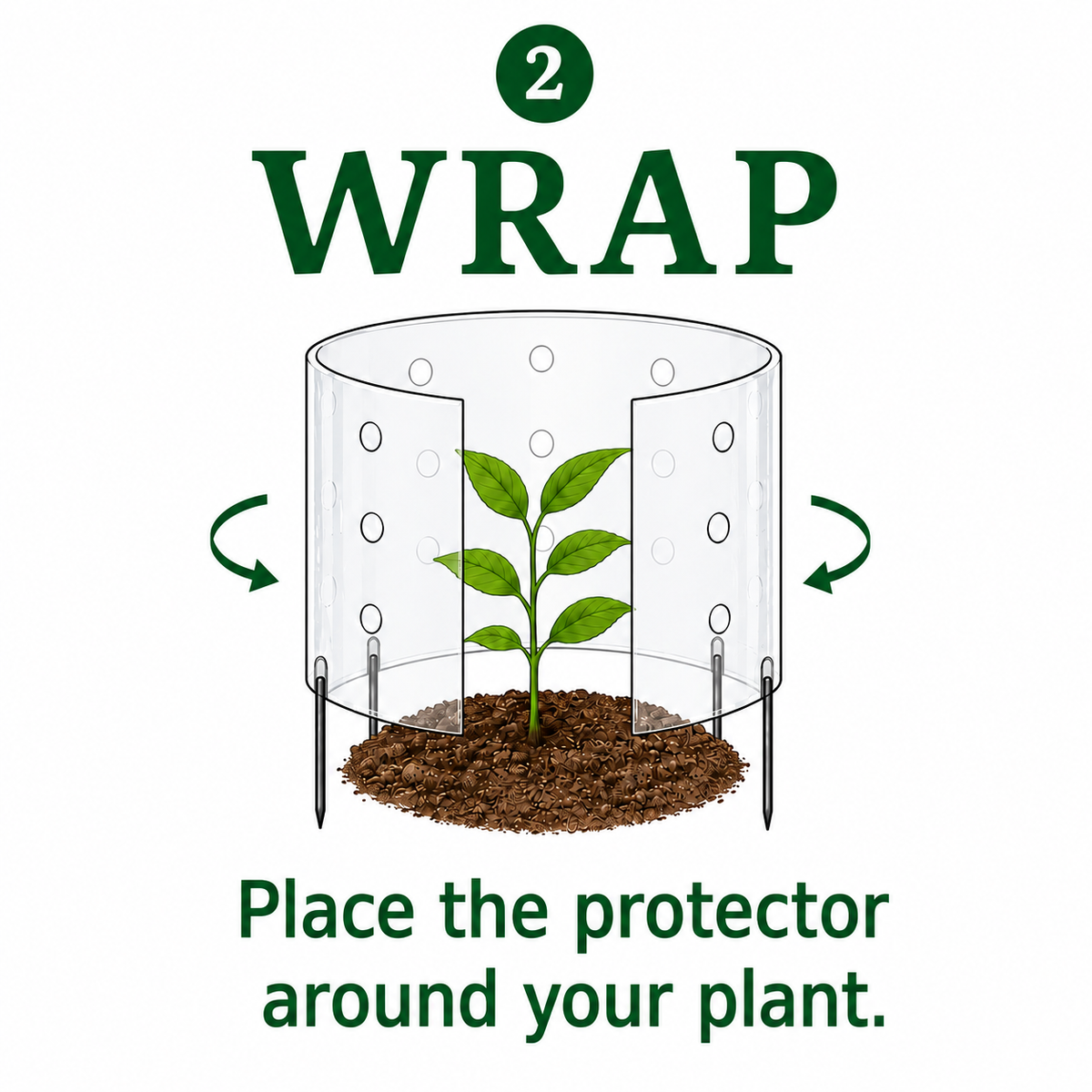 Wrap a clear Plucky plant protector around a young garden plant