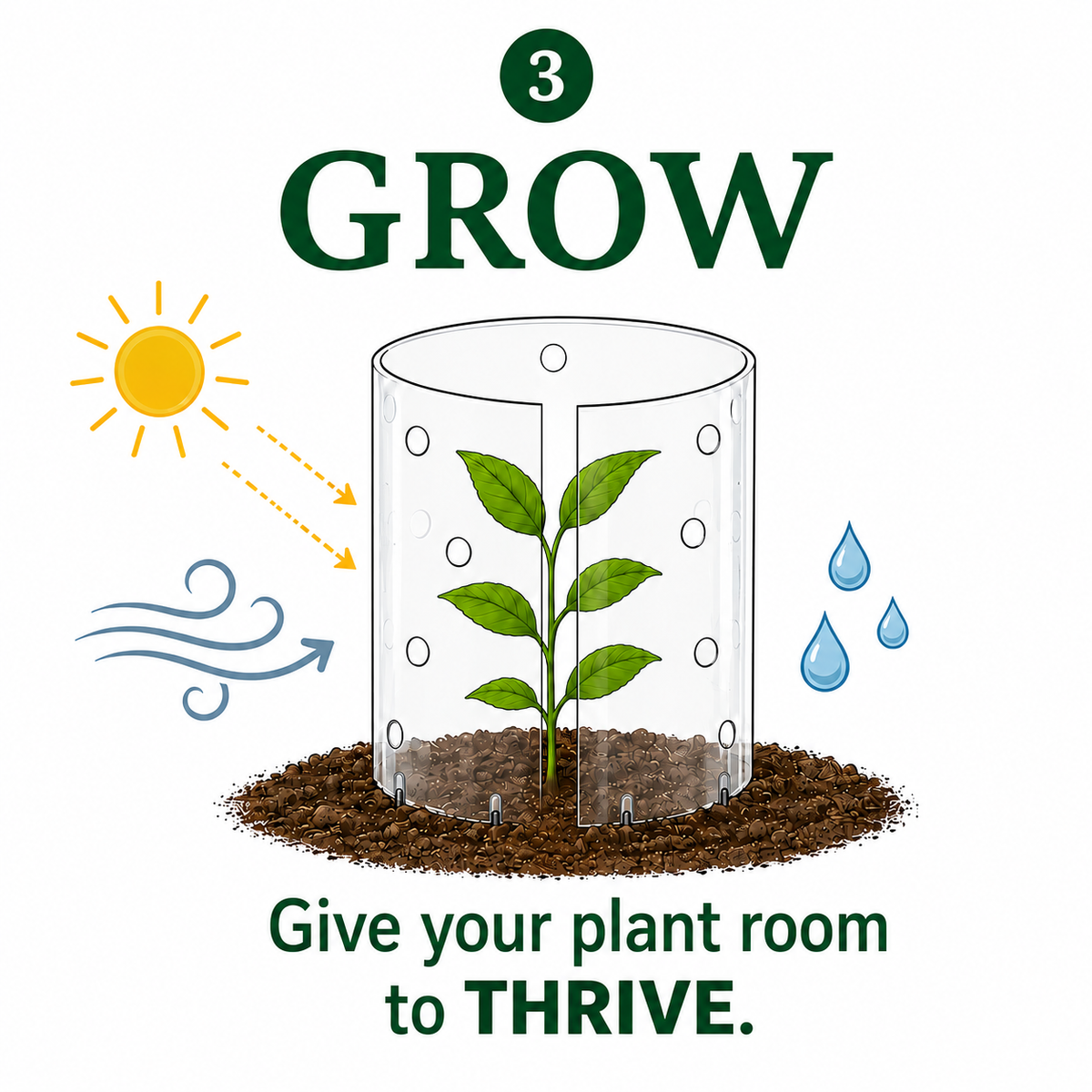 Young plant growing inside a clear Plucky Garden Roll protector
