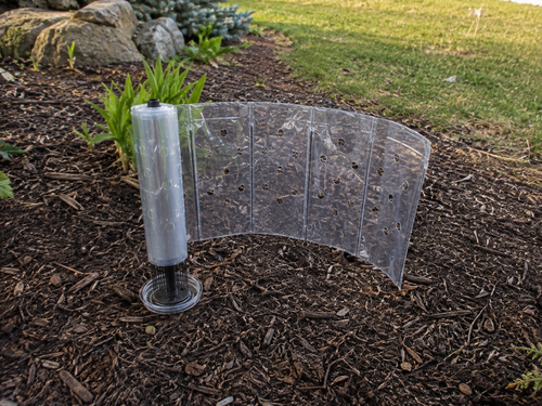 Plucky plant protector easy install for a young garden plant